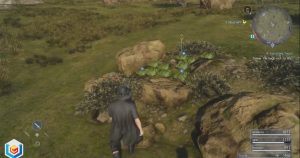 Final Fantasy XV A Feathery Feast Side Quest Walkthrough